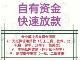 无抵押借款